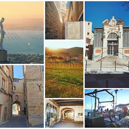 Pour Les Amoureux Des Vieilles Pierres Poussan Εξωτερικό φωτογραφία